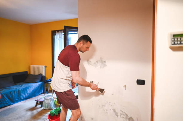 Best Emergency Mold Remediation in Elizabeth City, NC